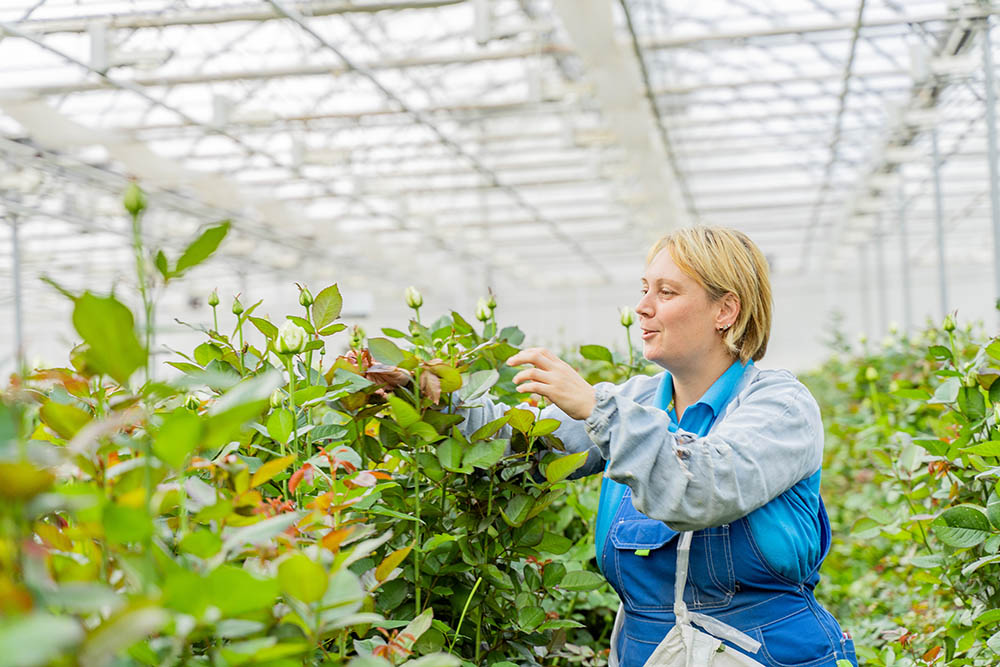 Производство