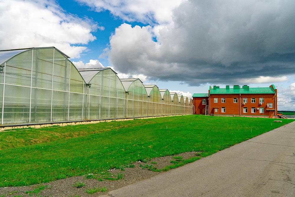 Производство