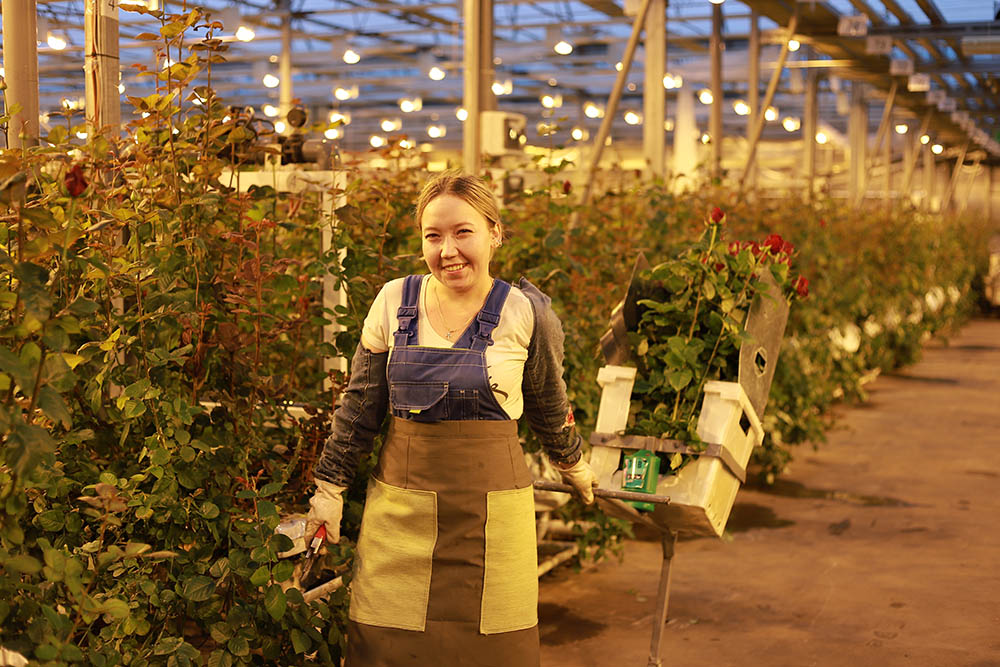 Производство