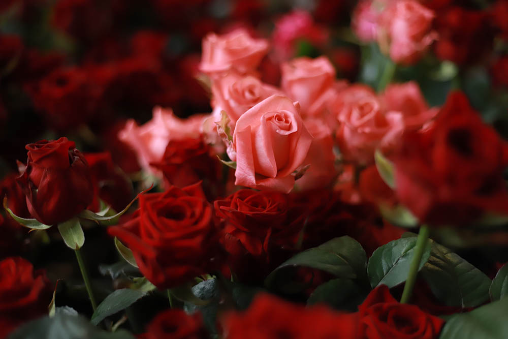 Производство