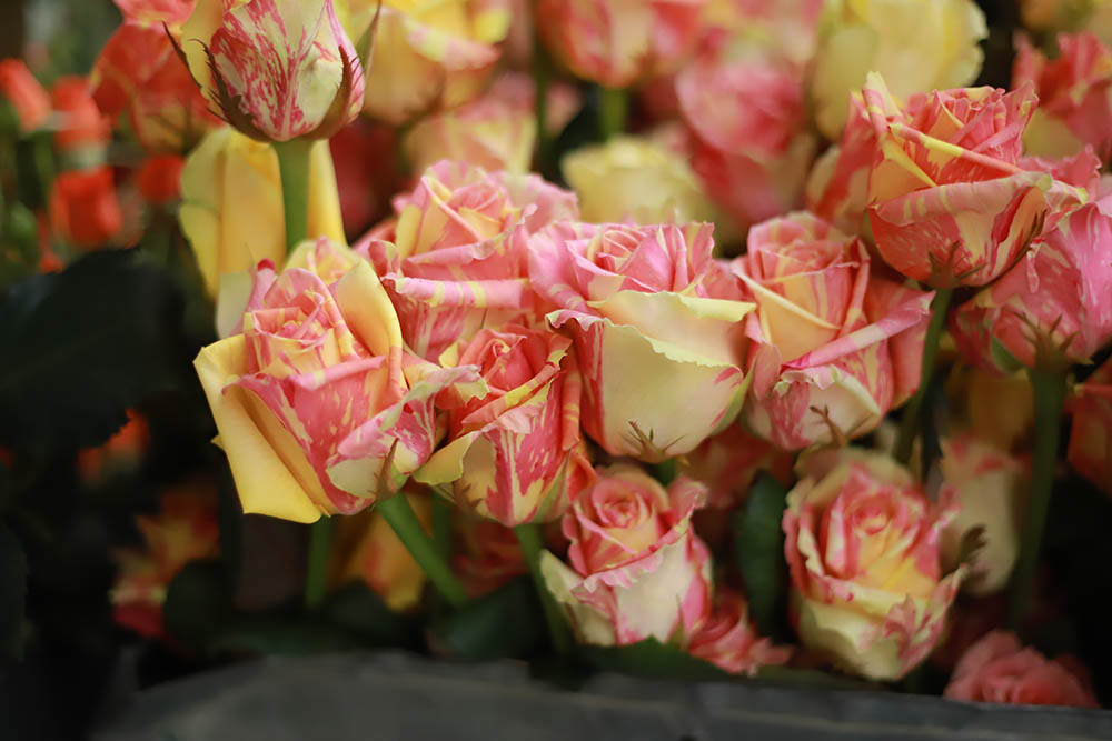 Производство