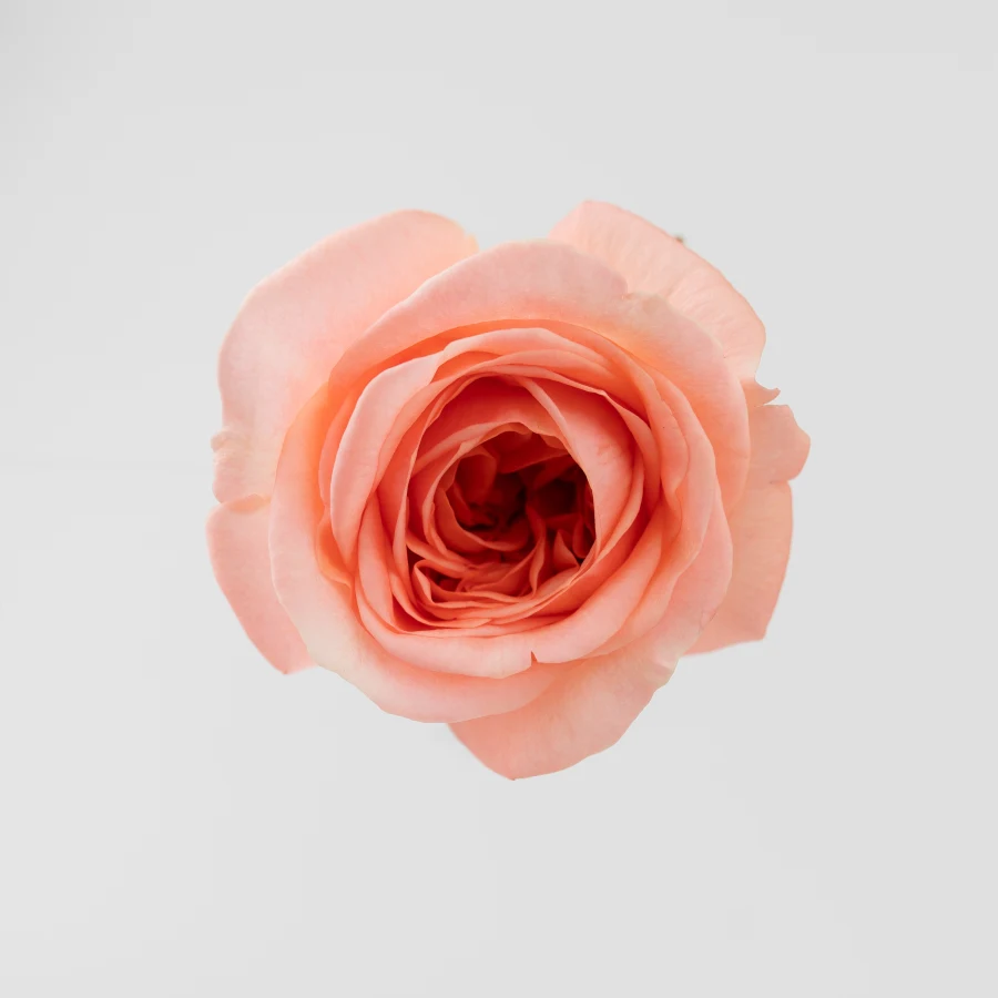 Лондон Ай (London Eye)