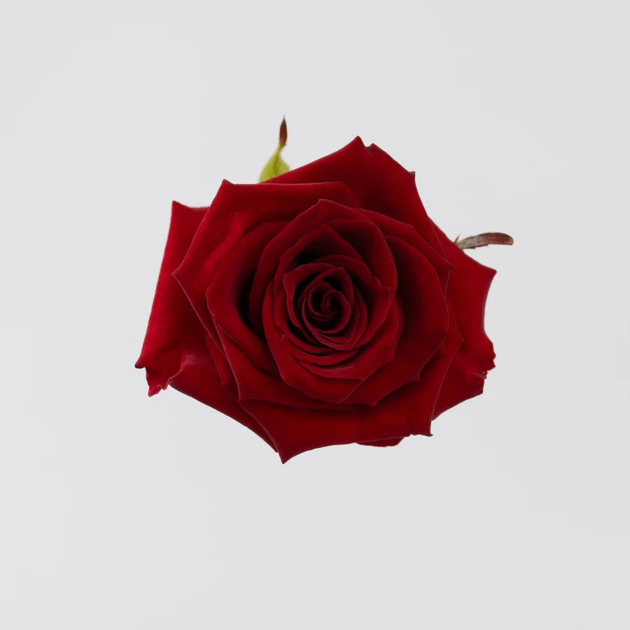 Престиж (Prestige)