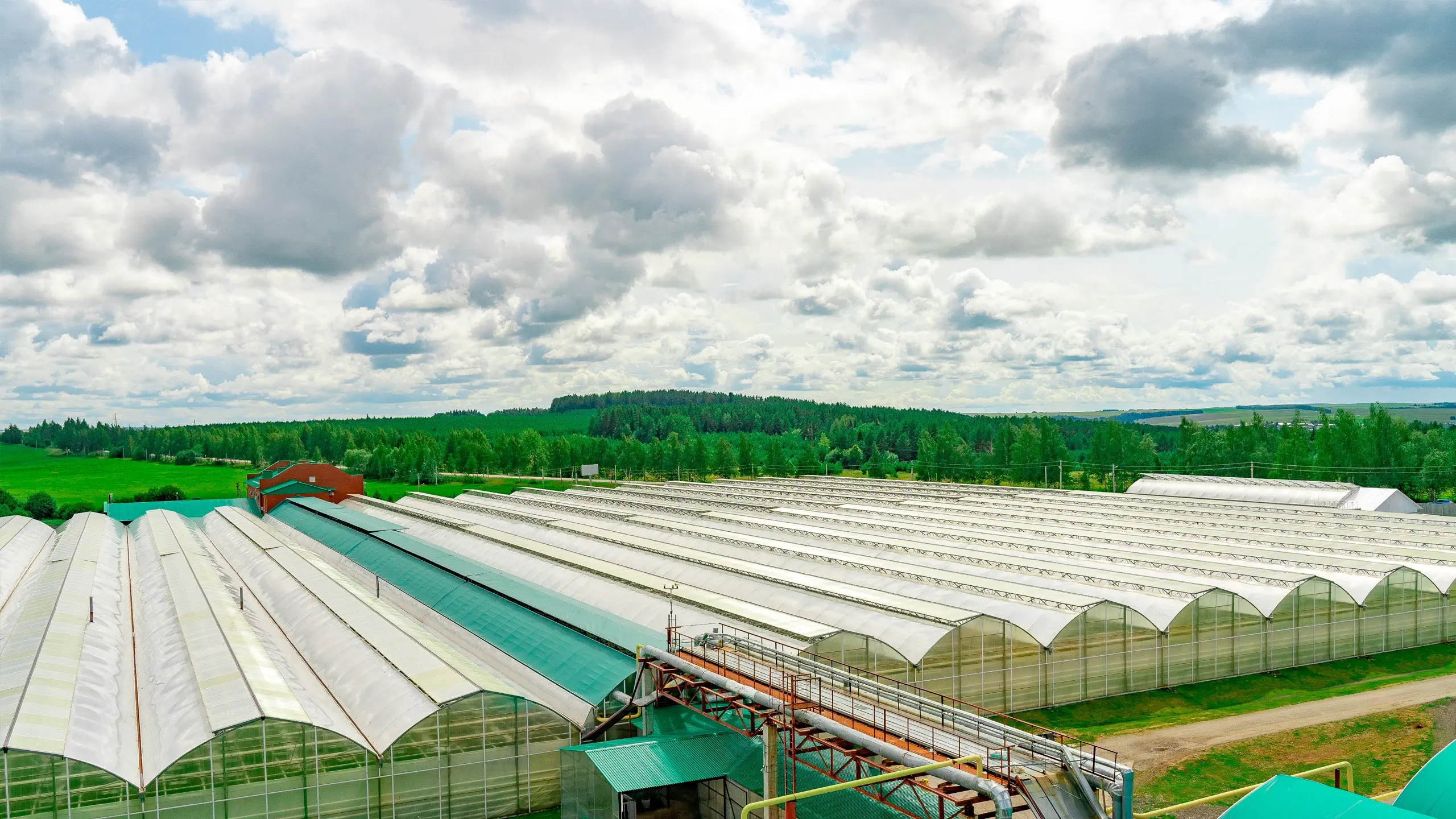 Открыли лабораторию постурожайной обработки роз